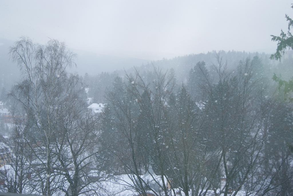 Villa Avangarda Schreiberhau Zimmer foto